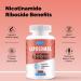 2000mg Liposomal Nicotinamide Riboside with TMG & Pterostilbene | Boost NAD+ & Energy Metabolism | 60 Count - Buy Online on GoSupps.com