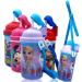 Disney Frozen Deluxe Carrying Strap One Touch Water Bottles with Reusable Built in Straw (Snow Canteen 16.9oz)