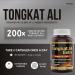 Herba Tongkat Ali Supplement for Men - 200:1 Extract 10 000mg Raw Tongkat Ali Equivalent | 120 Vegetable Capsules | Premium Tongkat Ali Extract Plus Extra | Made in Canada 120 count (Pack of 1) - Buy Online on GoSupps.com