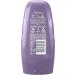 Unilever Benelux Andr lon Oil & Curl Conditioner for flexible shiny curls 6 x 250 ml Value pack - Buy Online on GoSupps.com