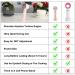 Afounda 2022 Eyelash Fan - Portable Rechargeable Electric Handheld Cooling Fan for Eyelash Extension & Nail Dryer (Pink) - Buy Online on GoSupps.com