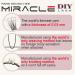 Park Sung Hee Miracle Lash DIY False Eyelashes - Lengthening 9mm-16mm Lash Clusters Contact Lens Friendly Easy to Apply Reusable Strip Lashes (E5-280 13mm - Buy Online on GoSupps.com