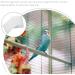 300pcs PATKAW Disposable Bird Cage Liners - Large Parrot Cage Sheet for Urine Absorption and Easy Replacement - Buy Online on GoSupps.com