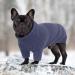 Iecoii Blue Dog Sweater - Cozy Turtleneck for Small to Large Dogs | Winter Clothing for Chihuahua French Bulldog Labrador & More - Buy Online on GoSupps.com