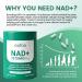 NAD+ Supplement 1315mg with Resveratrol Liposomal NAD+ for Maximum Absorption Advanced Cellular Health Energy & Anti-Aging Support NAD+ Supplements for Women & Men 60 Capsules - Buy Online on GoSupps.com
