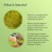 Twinings Matcha Green Tea Powder Tin - Organic Ceremonial Grade Matcha Powder from Japan Tea for Health & Self Care Vegan Friendly Enjoy Hot or Cold 30g Matcha Powder 30g - Buy Online on GoSupps.com
