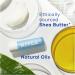 NIVEA Lip Balm Hydro Care with SPF 15 (4.8g) Hydrating Lip Balm with Shea Butter Natural Oils and Vitamins Provides 24 Hour Moisture and Protection Lip Care - Buy Online on GoSupps.com