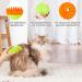 Steamy Cat Brush - 3 in 1 Cat Steamer Brush Cat Spray Massage Comb Multifunctional Dog Steamer Brush Cat Grooming Brush Pet Hair Removal Comb for Cat (Green) - Buy Online on GoSupps.com