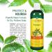 TheraNeem Naturals Scalp Therapy Shampoo 12 fl oz | Organix South - Natural Neem Oil & Nourishing Formula - Buy Online on GoSupps.com