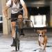 iFCOW Dog Bike Leash - Hands-Free Bicycle Training Leash for Jogging & Walking | Silver Perfect for Cycling - Buy Online on GoSupps.com