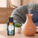 Essential Oils for Diffusers - Scent-Bali Island 50ml Cakki Fragrance Oil for Home & Candle Making - Buy Online on GoSupps.com