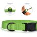 Audwud Thick Nylon Dog Collar | Adjustable & Classic | Neon Green | Sizes S-XL for Small Medium & Large Dogs - Buy Online on GoSupps.com