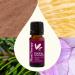 Plant Therapy Planting Kindness Essential Oil Blend 10 mL (1/3 oz) $5 Donated from Each Purchase to The Boys & Girls Club Freshens Your Space with a Bright Aroma Uplifts & Promotes Mental Clarity - Buy Online on GoSupps.com