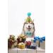 Christmas Pet Party Jazz Hat and Bow Tie Set for Small Dogs and Cats - Light Blue - Buy Online on GoSupps.com