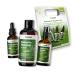 Casida Casida Rosemary Hair Treatment Kit - Shampoo Water and Oil - Optimal Care with Natural Ingredients Against Hair Loss