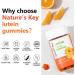 Nature's Key Lutein Gummies 12mg with Zeaxanthin & Vitamin A for Kids and Adults | Eye Health and Brain Function Supplement | Orange Flavor, 120Ct 120 Count (Pack of 1) - Buy Online on GoSupps.com