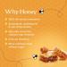 Honibe Complete Adult Multivitamin Gummies | Honey-Based Vitamins Made in Canada | Chewable Gummy Multivitamins for Women or Men | Daily Essential Vitamins and Minerals | Vegetarian Vitamin Gummies | 70 gummies | - Buy Online on GoSupps.com