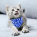 Molain 4 Pcs Cat Collars with Removable Bohemia Bow Tie Bandana Pet Collars Dog Bandana Cat Bandana Adjustable Bandana for Cats Dogs Puppy Pets Cat Accessories(Red Blue Black Pink) 4 Colors Pet Bandana - Buy Online on GoSupps.com