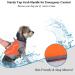 VIVAGLORY Sports Style Dog Life Jacket - Orange Small (S 46-56cm) | Heavy Duty Neoprene Safety Vest with Hook & Loop Closure - Buy Online on GoSupps.com