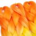 Tess Braids Extensions - Blue Jumbo Braids 60cm | KanCalon Kunsthaar for Box Braids | Ombre Hair Braid 100g (Orange/Blue/Red) - Buy Online on GoSupps.com