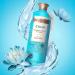 Beloved Vegan Body Wash - Luxurious Hydrating Cleanser with Turquoise Water Lily & Vitamin E (18oz) - Soft Skin & Rich Lather - Buy Online on GoSupps.com