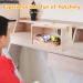 RANYPET Transparent Budgie Nesting Box with Perch | Wood Bird Cage House for Lovebirds, Budgies, Finch | 12x12x19.5 cm - Buy Online on GoSupps.com