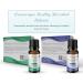 OraWellness Nut Free Healthy Mouth Blend Organic Toothpaste & Mouthwash Alternative Tooth Oil Natural Mouth Rinse for Healthy Teeth & Gums for Women Men and Kids Pack of 1 0.5 Fl Oz (Pack of 1) - Buy Online on GoSupps.com
