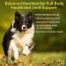 Animal Pharmaceuticals ZM-Ultra Joint Support Soft Chews for Dogs & Cats - 60 ct - Glucosamine Chondroitin - Hip & Joint Health Supplement - Buy Online on GoSupps.com