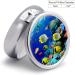 Round Tropical Ocean Fish Print Pill Box - 3 Compartment Decorative Metal Organizer - Portable Pocket Case for Medicine - Buy Online on GoSupps.com