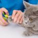 Draftor Pet Nail Clipper Professional Cat Nail Clippers Claw Trimmer Nail Clippers for Dogs Kittens Puppies Hamsters Rabbits and Any Small Pet - Buy Online on GoSupps.com