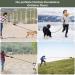 Buy Xben 5m Tow Leash for Dogs | Robust Reflective Lockable Carabiner Ideal for Small to Medium Dogs Durable Training Line in Green - Buy Online on GoSupps.com