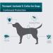 TevraPet Activate II Flea and Tick Collar for Dogs - 12 Month Prevention, 2 Count - One Size Fits All - Buy Online on GoSupps.com