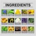Organic Comfrey Salve for Bone Healing | Herbal Relief - 1pc | Shop Internationally - Buy Online on GoSupps.com