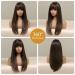 Buy Testar 24 Brown Wig with Bangs - Long Straight Dark Brown Wigs for Women | Natural Art Hair for Daily Wear Parties & Cosplay - Buy Online on GoSupps.com