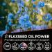 High Absorption CoQ10 200MG - Co Q10 200mg Softgels for Heart Health & Energy Production - Enhanced Co Q 10 Supplement with Antioxidants and Flaxseed Oil - CoQ10 200 mg Per Serving - Buy Online on GoSupps.com