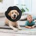 Iecoii Halskrause Dog Cone - Soft Protective Collar for Medium-Sized Dogs | Elizabethan Neck Collar for French Bulldogs - Black - Buy Online on GoSupps.com