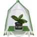Fowybe Insect Habitat | Insect Habitat Cage Catcher Plant Net With Hook | U-Shaped Opening Mesh Net Cage For Caterpillars - Buy Online on GoSupps.com