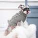 FWLWTWSS Winter Warm Dog Sweater - Soft Knit Roll Collar for Small & Medium Dogs & Cats | Stylish Diamond Design - Buy Online on GoSupps.com