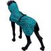 Rukka Pets Hayton Warm Raincoat for Dogs - Aqua | Waterproof & Cozy Dog Apparel - Buy Online on GoSupps.com