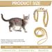 Adjustable Tiesome Cat Dishes & Leash Set | Color Gradient Outdoor Kitten Bowls - Yellow - Buy Online on GoSupps.com