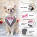 Liebeedd Gray Dog Neck Towel Bandana - Adjustable Dog Costume for Weddings & Birthdays | International Shipping Available - Buy Online on GoSupps.com