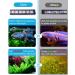 MingDak LED Aquarium Plant Light - Full Spectrum Fish Tank Fixture 1000lm for Freshwater Plants - 18-24'' Timer Switch - Buy Online on GoSupps.com