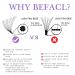 Shop Premium Premade Fans Eyelash Extensions - 800 Handmade Loose Volume Lashes 8-15mm | 6D 8D 10D 12D 14D D Curl by Befacl - Buy Online on GoSupps.com