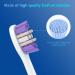 Buy Sonicare Replacement Heads for Philips Electric Toothbrush - Compatible Snap-on Brush Heads KD-D3 | International Shipping Available - Buy Online on GoSupps.com