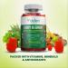 Kids Multi B Vitamin Gummies with B-Complex B6, B12, B9, B7, B5, A, C, D, E, Zinc, Iodine, Inositol - Energy, Nervous System, Immunity Support - Gluten Free - Buy Online on GoSupps.com