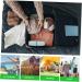 Shop TOVINANNA Raccoon Storage Box - Toothbrush & Travel Accessories Organizer Green - 20x6cm - Buy Online on GoSupps.com