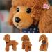 Heionia Teddy Dog Plush Toy - Kawaii Brown Poodle Cuddly Toy (20cm) | Perfect Gift for Kids & Girls | International Shipping Available - Buy Online on GoSupps.com