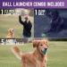 Chew King Ball Launcher Combo Set for Dogs - 2.5 and 3 Balls Included - Buy Online on GoSupps.com