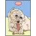 Bamboodles T Bone Dog Chew - Medium Chicken Flavor for Aggressive Chewers - Buy Online on GoSupps.com