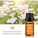 100% Pure Organic Chamomile Essential Oil for Aromatherapy, Diffuser, Massage & Soap Making - Buy Online on GoSupps.com